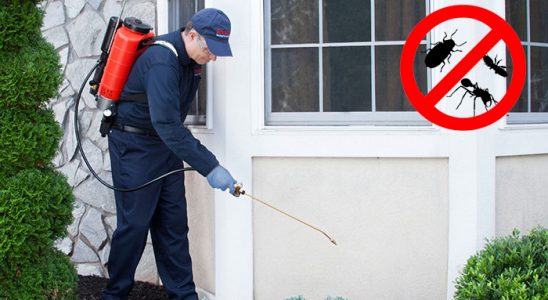 Kumlu Fare İlaçlama böcek ilaçlama ve haşere kontrolü — ilaclama-tr.com